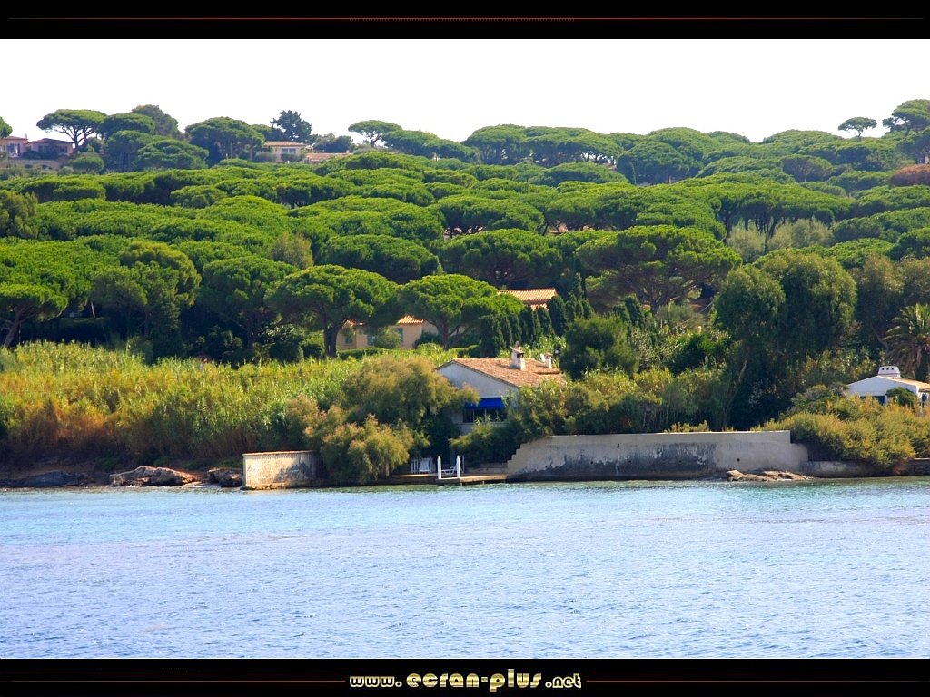 Ecran + Plus __ La Madrague,