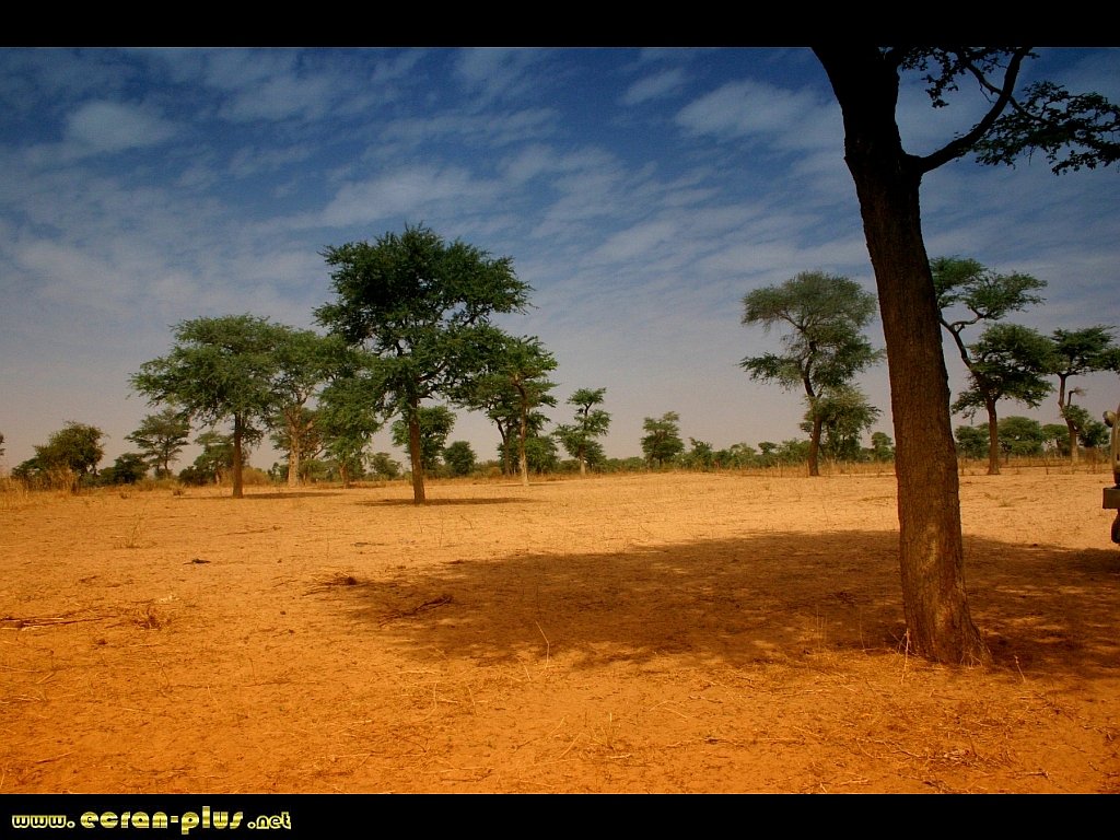 senegal-paysage